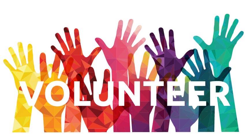 What are the different types of volunteers?