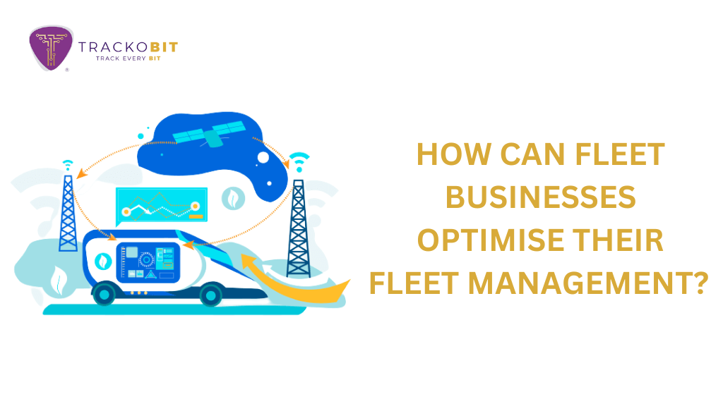 How Can Fleet Businesses Optimise Their Fleet Management?